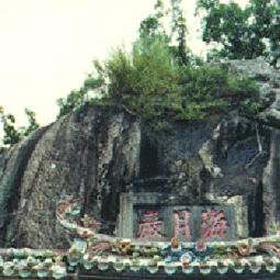 海月岩：一个让你钱包哭泣的魔幻现实主义景区