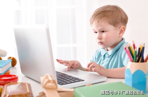 生肖牛：稳重踏实与观察力的深度结合