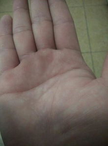 有没有大神能解读女士手相，顺口溜形式的？