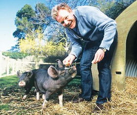 邻里关系维护：和谐共处之道