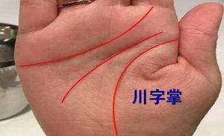 手掌看事业准确度如何？哪种方法最准确预测事业运势？