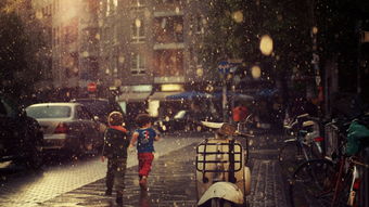 二、典型案例剖析：理性面具下的潜意识挣扎