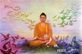 三、 梦里对龟友好的人