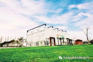 那一些个被算法“优化”掉的惊喜