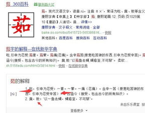 二、 命名陷阱：理想化与内省倾向之间的平衡艺术创作