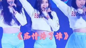 综合分析：生肖星座属性对长尾网名生成机制的影响