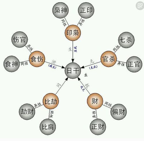 如何精确查询八字十神？