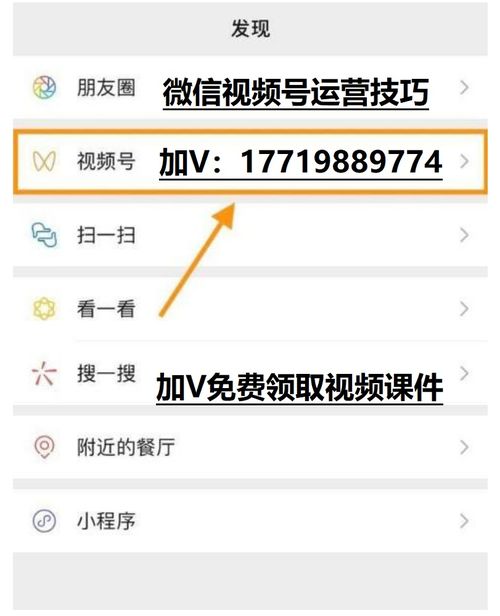 进阶技巧：避开雷区