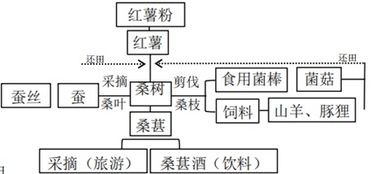 三、经济持续发展学视角下的机会投入成本与选择逻辑