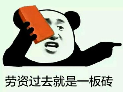 再说说再说两句废话