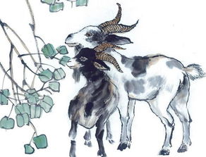 2002年属马的人2026年蛇年健康运势如何？