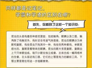 2. 心理疏导与情感支持机制