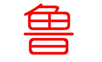 了解姓氏文化底蕴， 传承历史持续发展精髓
