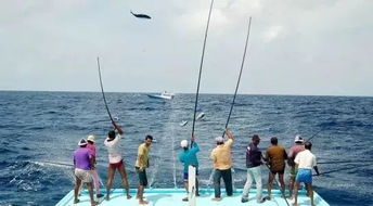 升钟湖垂钓胜地，渔乐无穷之旅
