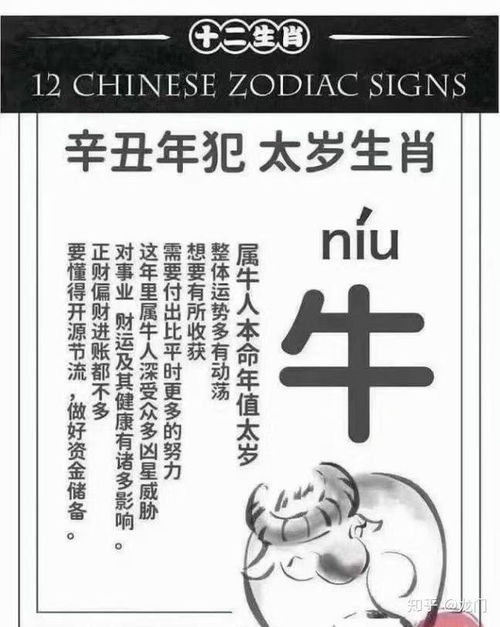 ：犯太岁之年的文化内涵与宗教应对