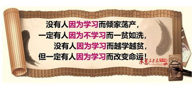 1. 对生理健康的侵蚀与病理干扰