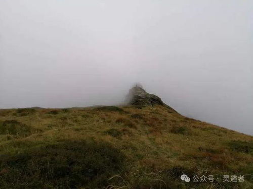 李居明作品：《阴宅風數入門》， 内容浅显易懂