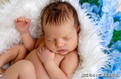 真实字的含义与特点