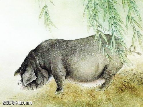 共同点：心态平和与福报加持