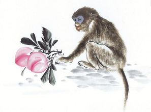 2026年狗遇蛇年运势如何？53年属蛇送什么礼物有何寓意？