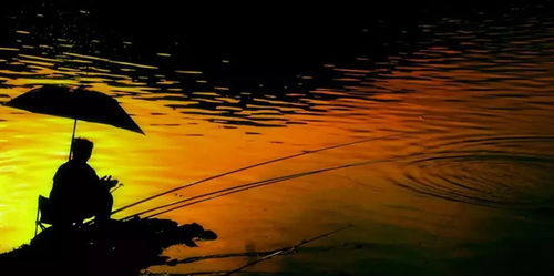 梦里水乡的奇幻冒险