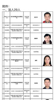 四、 跨领域信息整合及其文化底蕴语境解读
