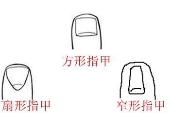 5. 圆形指甲：平易近人且缺乏远见