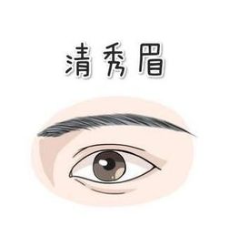 1. 眉毛杂乱或间断：缺乏理财意识