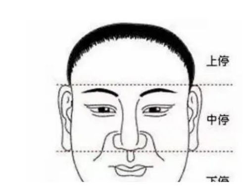 面相特征与个人特质的关系