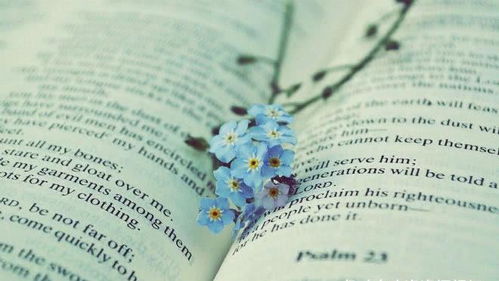 缘分的初始：天时地利与偶然相遇