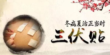 一、 三伏贴于盛夏之际的生理状况机理及独特功效