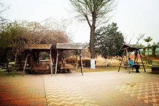 富平陶艺村：一场土到掉渣的魔幻现实主义之旅