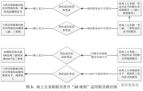 六、 综合提议与实践路径