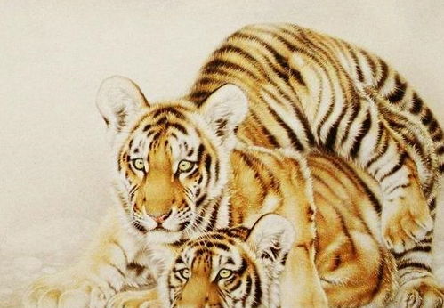 1962年属虎的人，这一生的财运究竟如何？