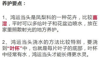 运势保护及负面因素规避