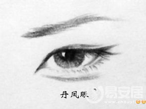 金凤凰属什么生肖？一双丹凤眼指的是哪个生肖？