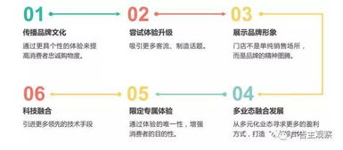 案例二：手工艺品领域——“狮子手艺”示例分析