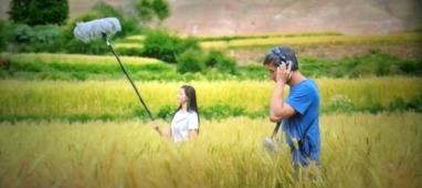 （二）牛——踏实忠诚、 坚持原则