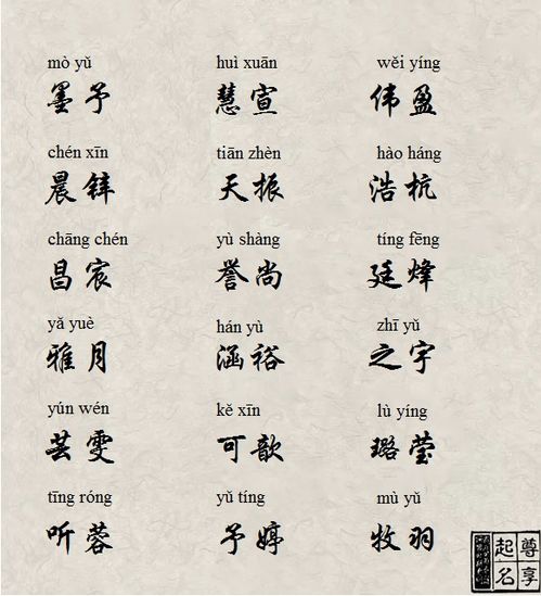 六、 “寓刚柔于名”的深层寓意阐释