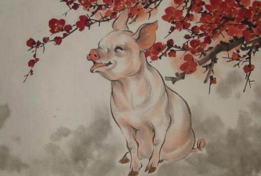 生肖猪的恬淡自乐：知足常乐下的内在力量