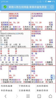 一、 紫微命理中“太阳化忌”的概念界定与理论渊源