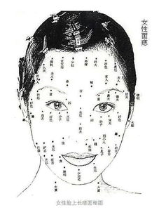 一、 眉毛上方痣点的传统面相意义概述