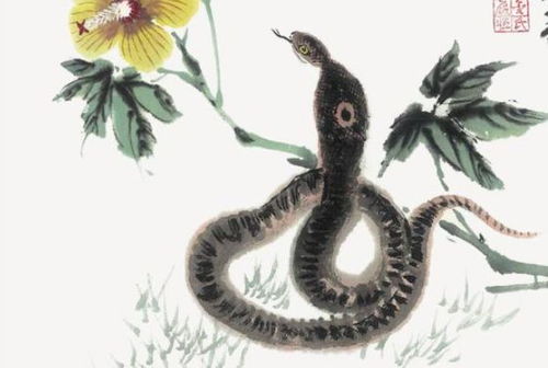 属蛇人2026年4月财运如何，有哪些方法可以提升属蛇2026年的财运？