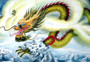 2017年属龙的人运势如何？