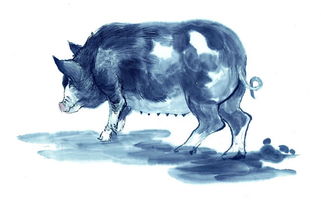 属猪2026年五大预兆和大事解析具体内容是什么？