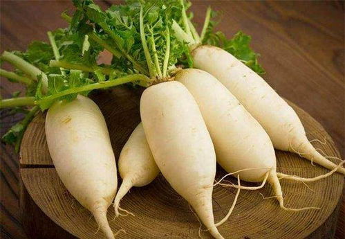 白萝卜 - 冬天的神仙食物