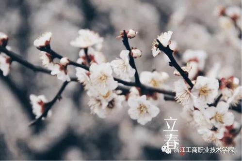 立春还是春节决定生肖，经冬复立春的生肖是哪个？