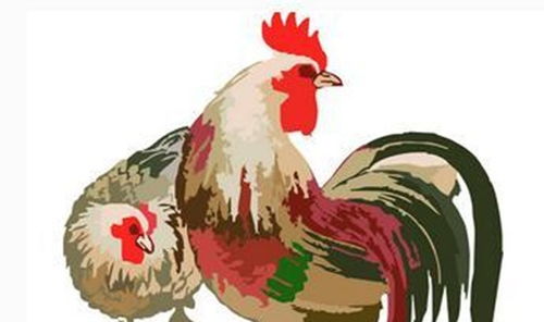 属鸡人2026年每月运势详解分别是什么？