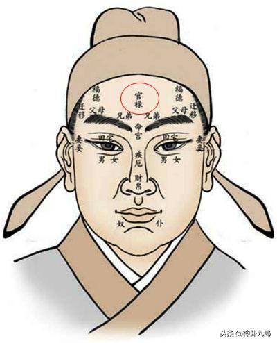 努力与命运的结合
