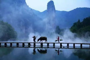 交通运输陷阱：景区较大巴是“智商税”，本地司机的“野路子”才香